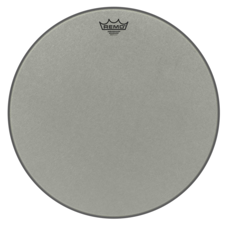 Peau Renaissance Ambassador 18" pour Tom sur pieds