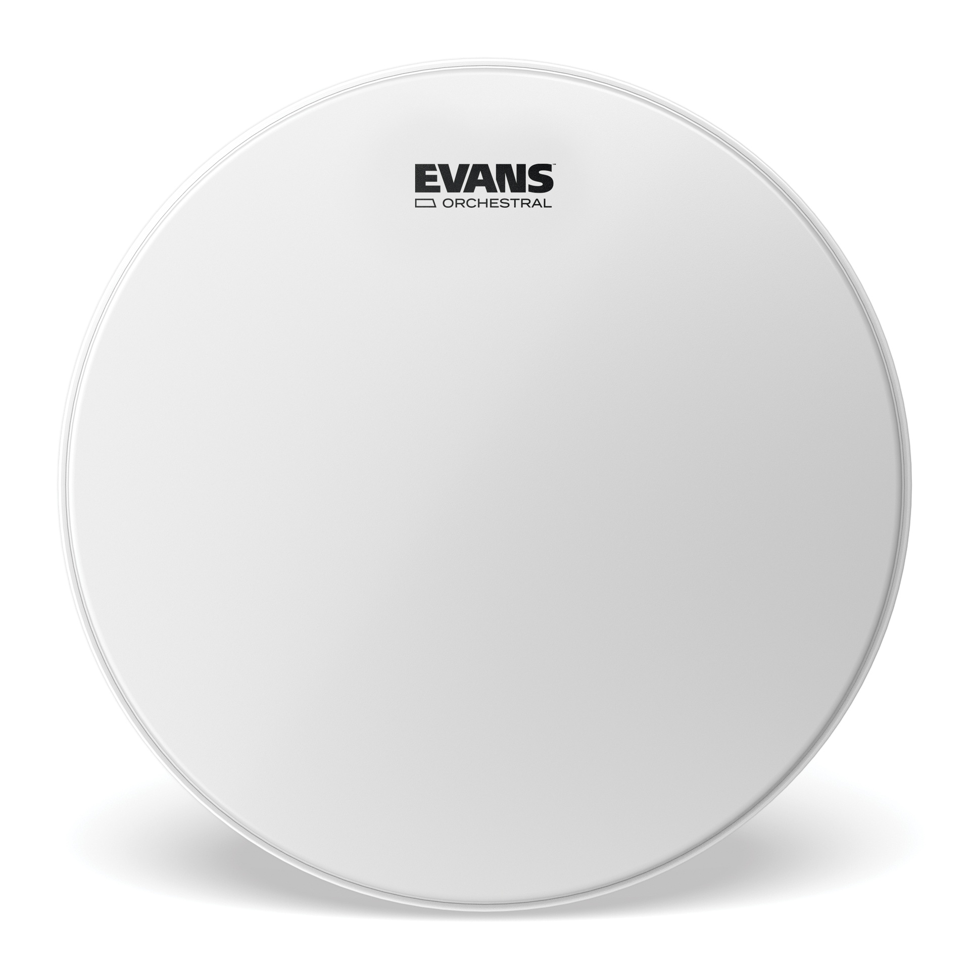 EVANS Orchestral Coated White Snare Drum Head, 14 "