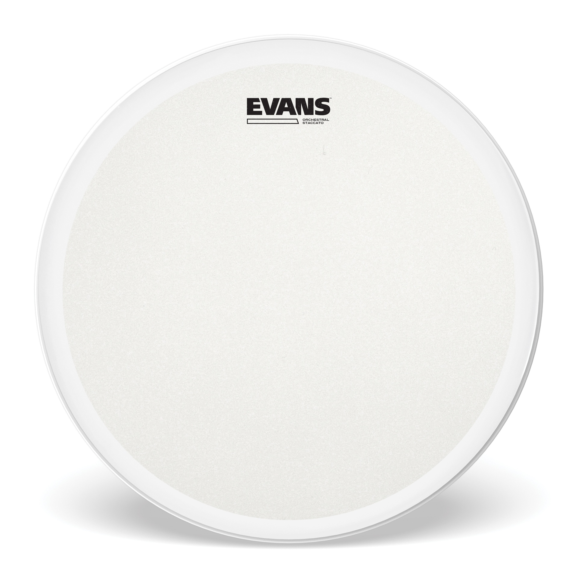 EVANS Orchestral Stacatto Coated White Snare Drum Head, 14 "