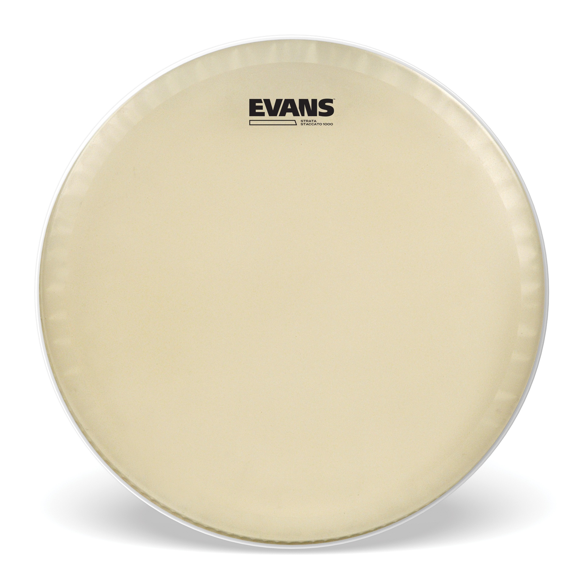 EVANS Strata Staccato 1000 Concert Snare Drum Head, 14 "