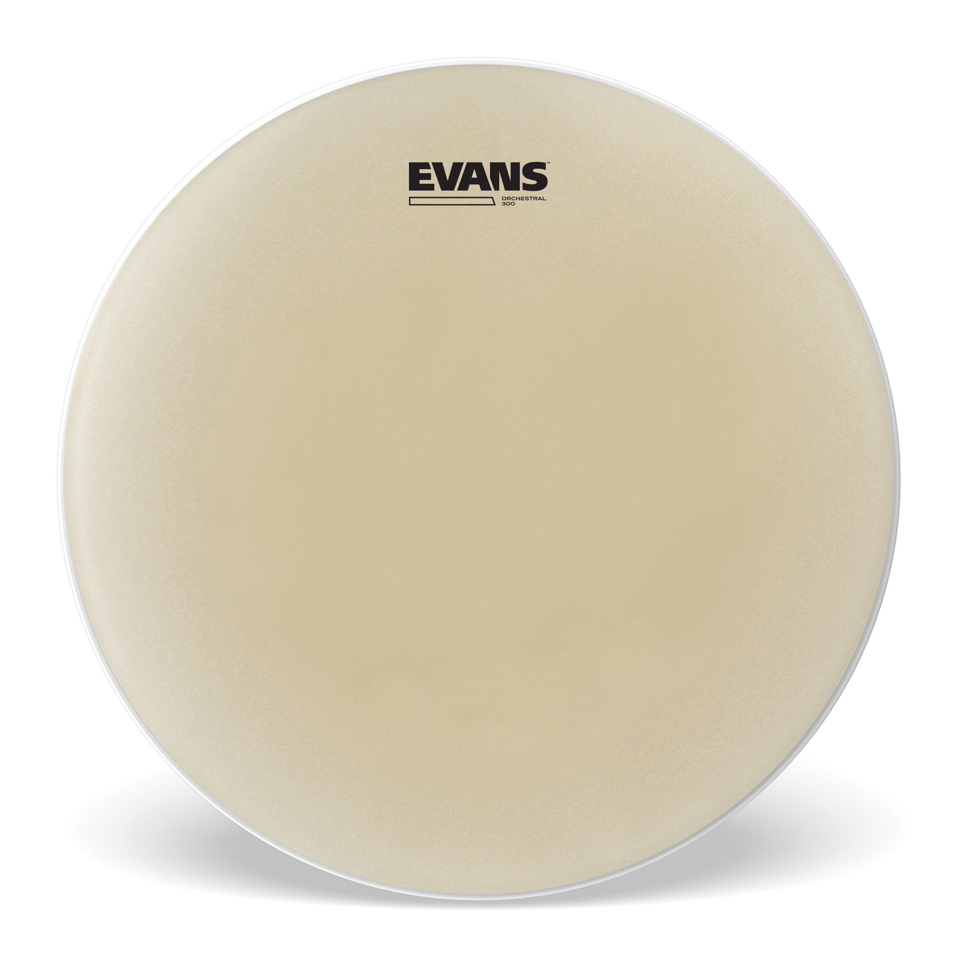 EVANS Orchestral 300 Clear Snare Side Drum Head, 14 "