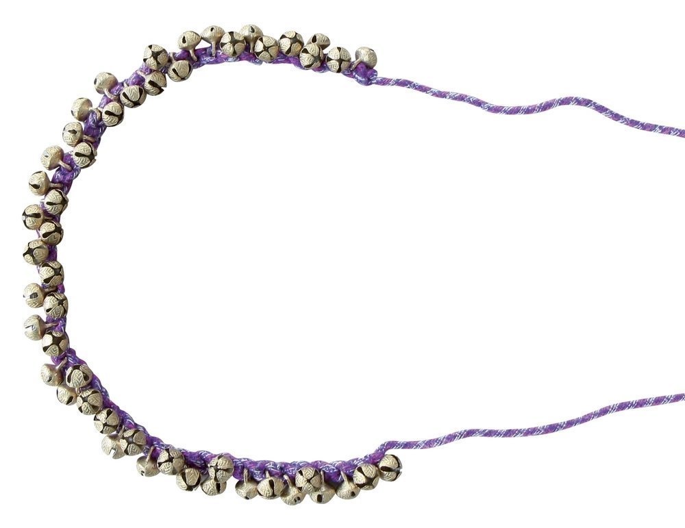 maracas pour chevilles