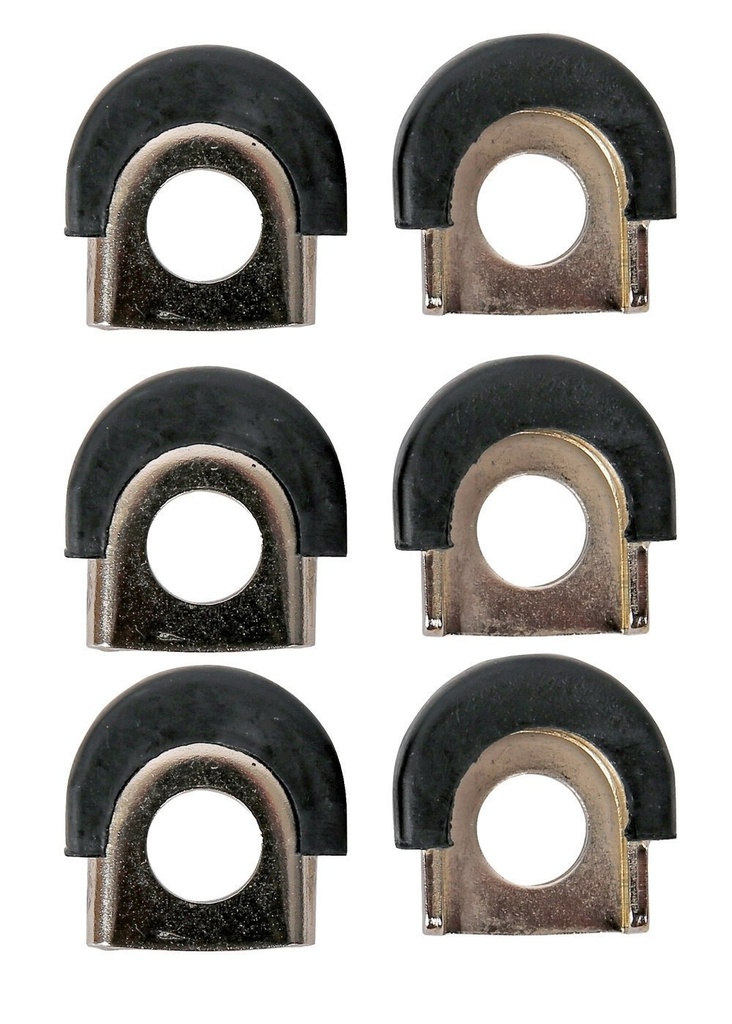 Shell Protectors Conga