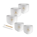 SET 5 SINGING BOWL SONIC CRISTAL TMC