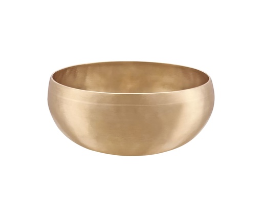 [SBSVF1000] SINGING BOWL SONIC ENERGY SYNTHESIS 1000