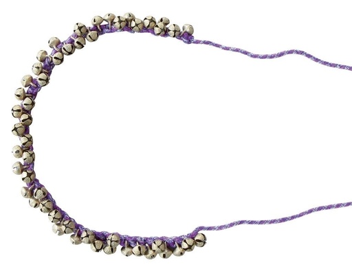 [838.300] maracas pour chevilles