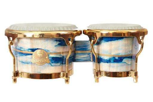 [TO801.706] Bongos Anthony Almonte Neptune Signature Anthony Almonte