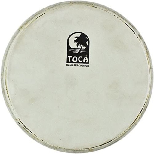 [TO803.616] Peau de Percussion Doumbek